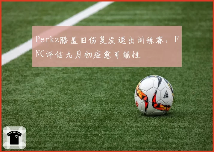 Perkz膝盖旧伤复发退出训练赛,FNC评估九月初痊愈可能性