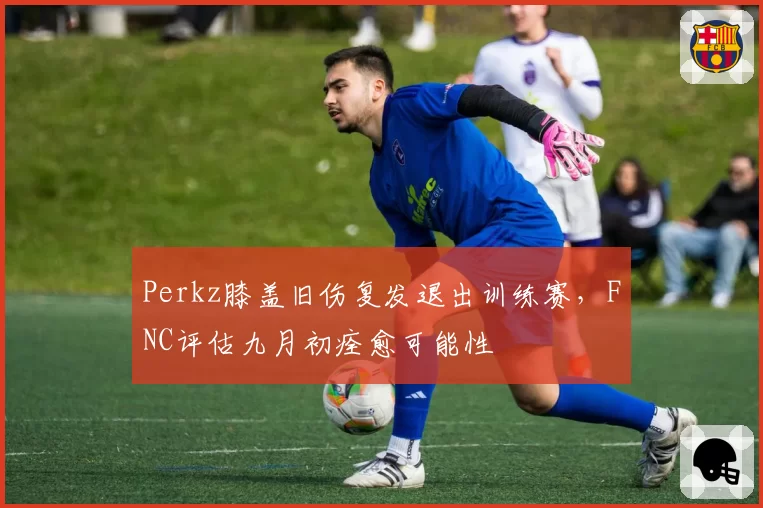 Perkz膝盖旧伤复发退出训练赛，FNC评估九月初痊愈可能性
